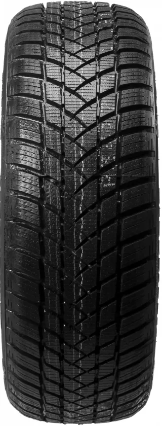 GT-Radial Winterpro 2 205/55R16 91 H - Bild 1