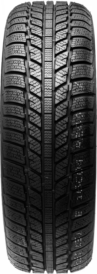 Evergreen EW62 XL 205/55R16 94 H - Bild 1