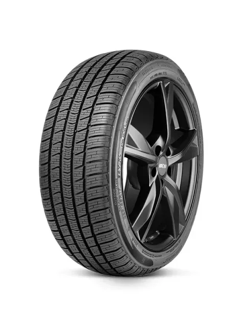Background image for Radar Dimax Winter XL 205/55R16 94 V