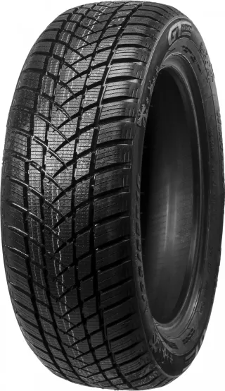 GT-Radial Winterpro 2 205/55R16 91 H - Bild 2