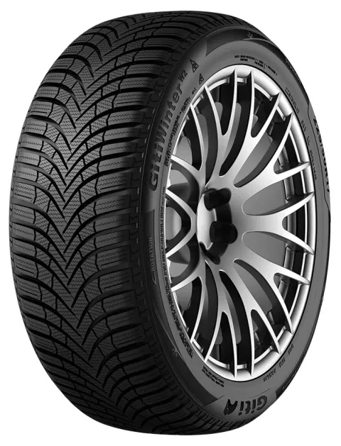 Background image for Giti GitiWinter W2 205/55R16 91 H