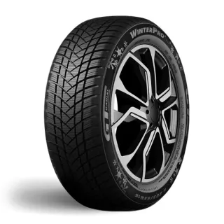 GT-Radial Winterpro 2 EVO 205/55R16 91 H - Bild 1