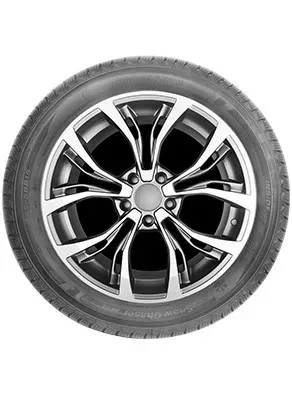 Autogreen Snow Chaser 2 AW08 205/55R16 91 H - Bild 3