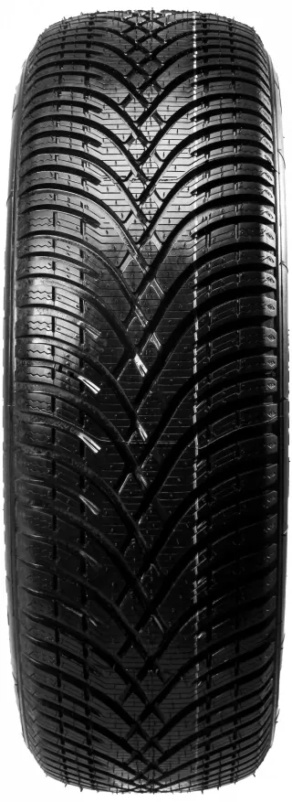 BF Goodrich G Force Winter 2 205/55R16 91 T - Bild 1