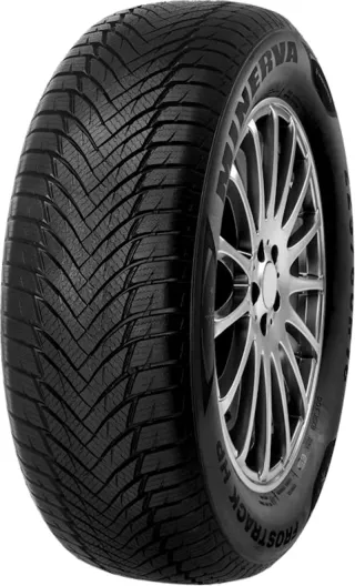 Minerva Frostrack HP 205/55R16 91 H - Bild 1