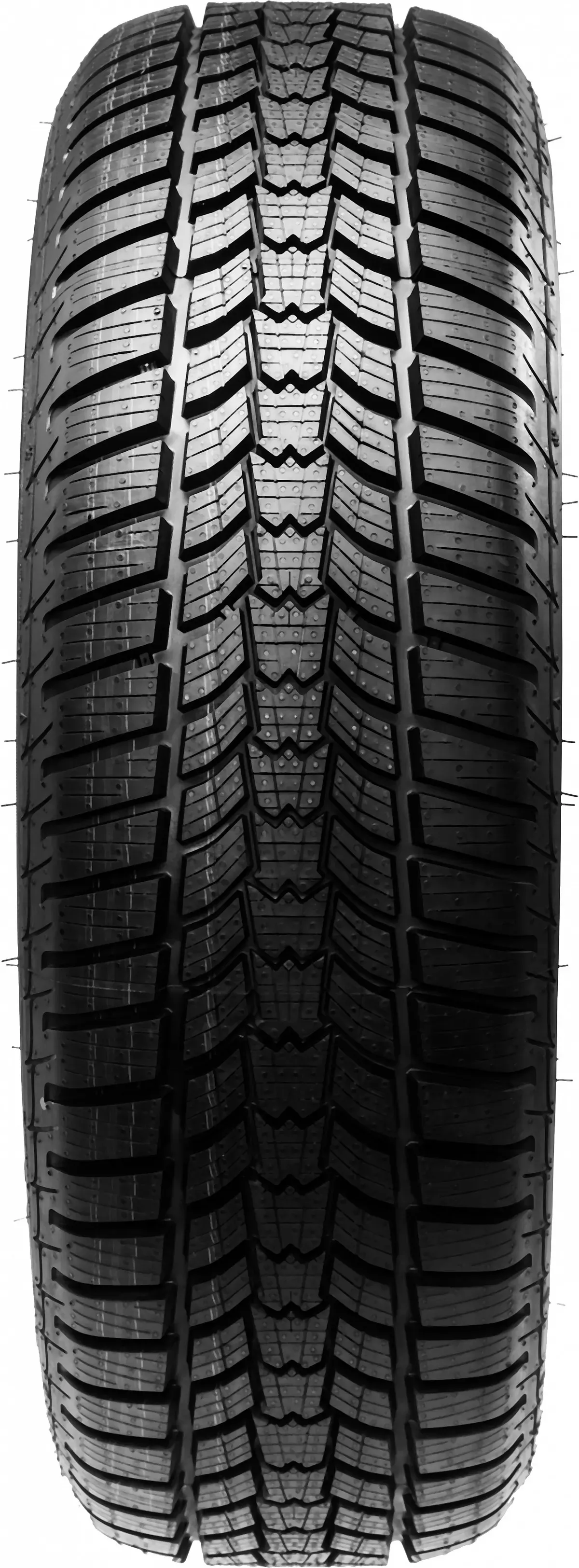 Sava Eskimo HP 2 DOT21 205/55R16 91 H - Bild 1