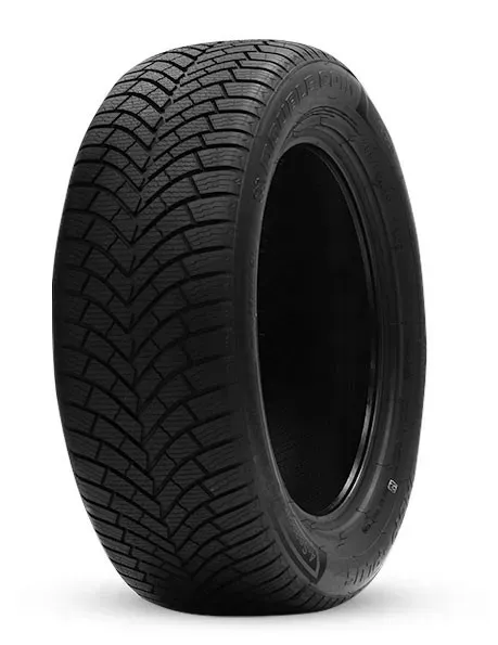 Background image for Double Coin DASP+ XL 205/55R16 94 V