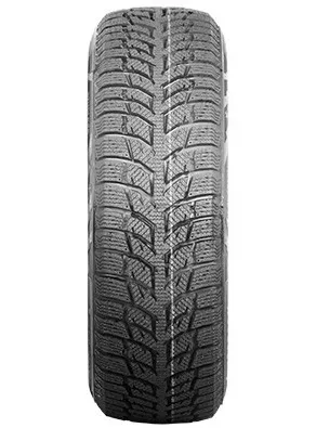 Autogreen Snow Chaser 2 AW08 205/55R16 91 H - Bild 1