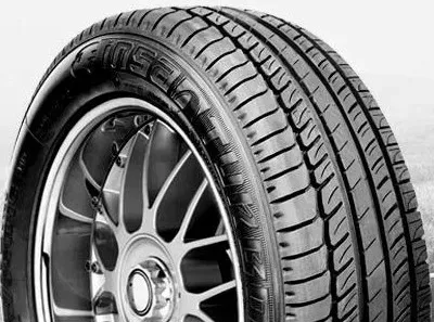 Insa Turbo ECO Evolution Plus 205/55R16 91 V - Bild 1